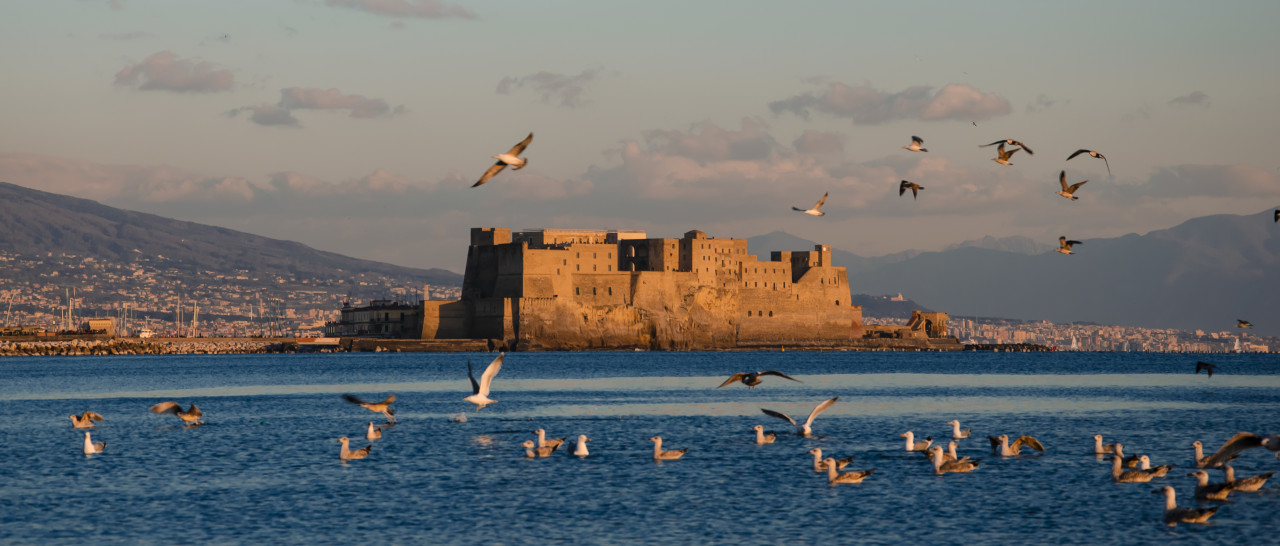 flock seagulls flying sunset time castel dell ovo sea naples italy egg castle